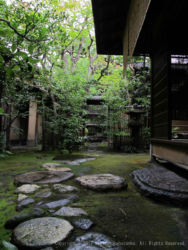 The Tea Garden