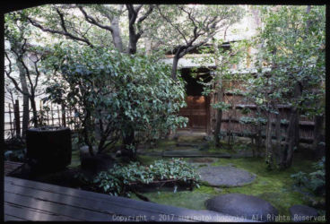 The Main Garden(zashiki niwa) The Main Garden